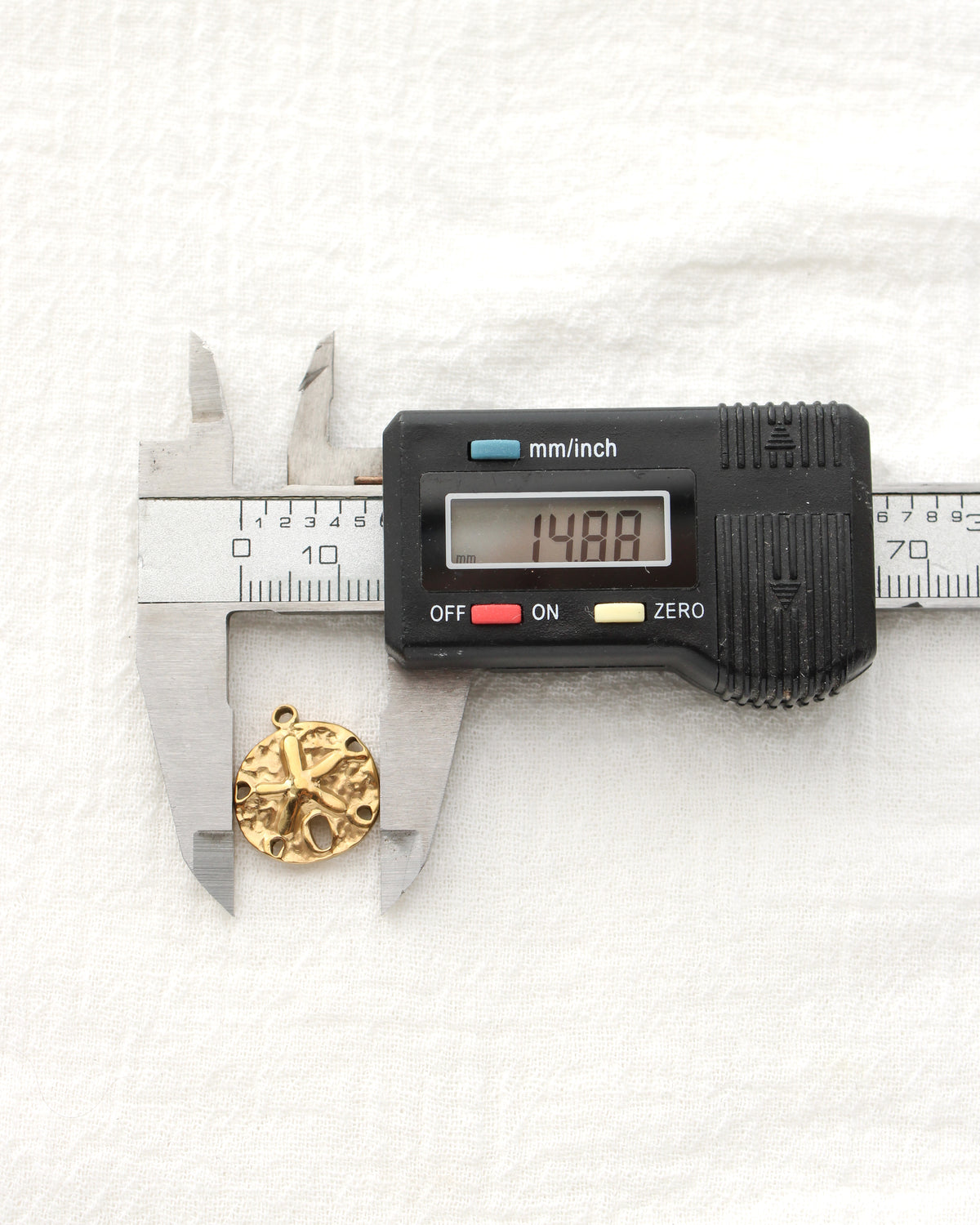 17mm Sand Dollar PVD Charm, CH477