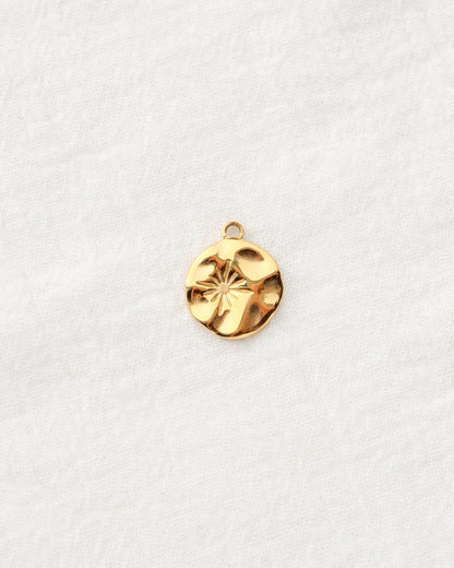 19mm Hammered Disc with Star PVD Charm, CH476