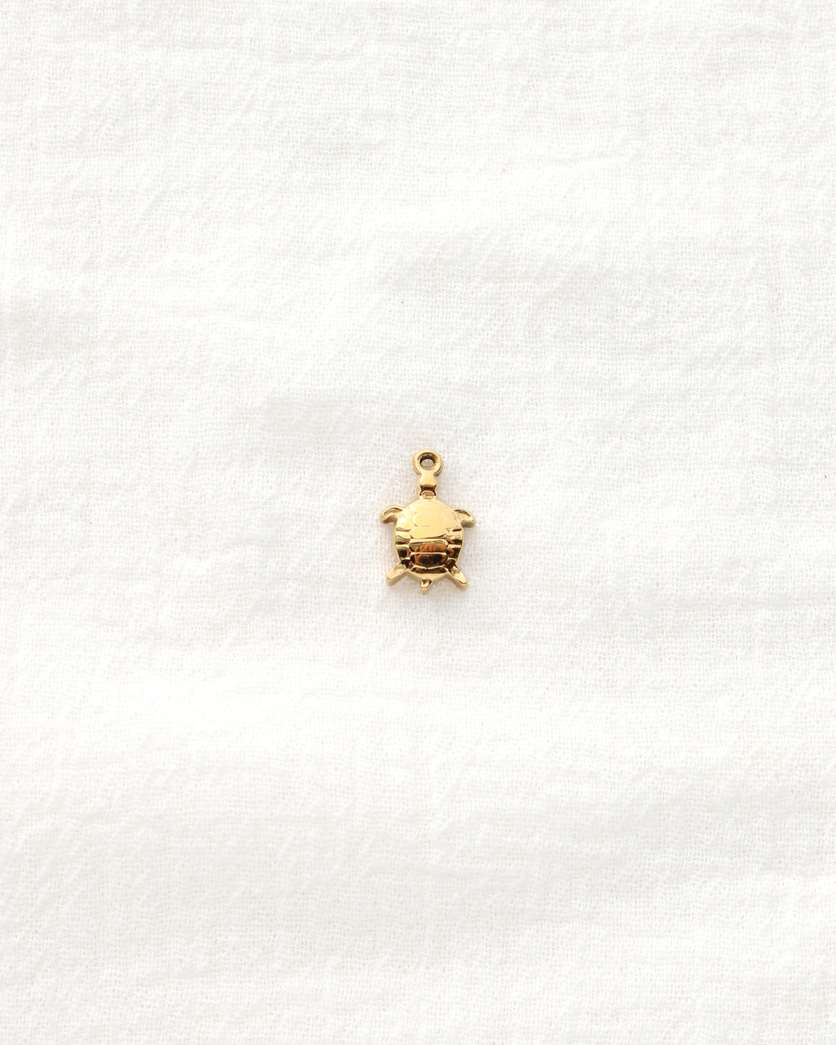 15mm Turtle PVD Charm, CH479