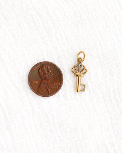 19mm Key w/ CZ PVD Charm, CH387