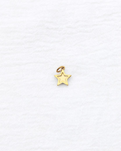 14mm Star w/ Multi Zircon PVD Charm, CH396