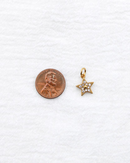 14mm Star w/ Multi Zircon PVD Charm, CH396