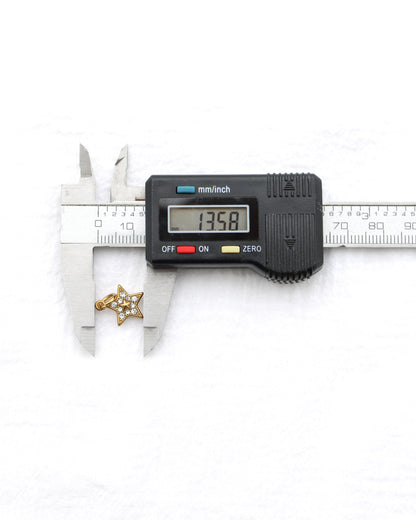 14mm Star w/ Multi Zircon PVD Charm, CH396