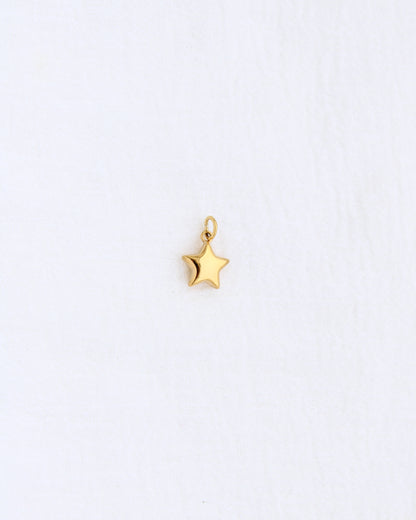 14mm Star w/ Zircon PVD Charm, CH394