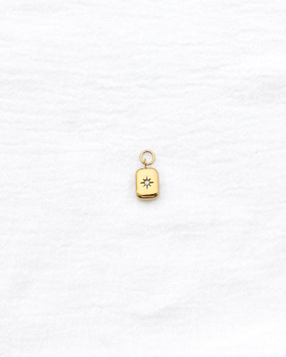 15mm Rectangle w/ Star CZ PVD Charm, CH398