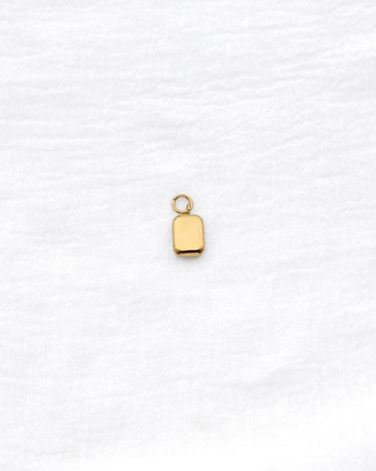 15mm Rectangle w/ Star CZ PVD Charm, CH398