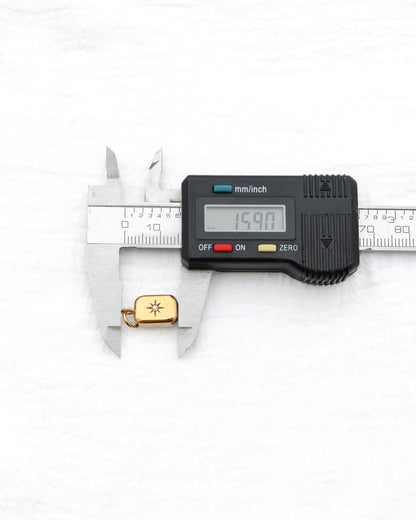 15mm Rectangle w/ Star CZ PVD Charm, CH398