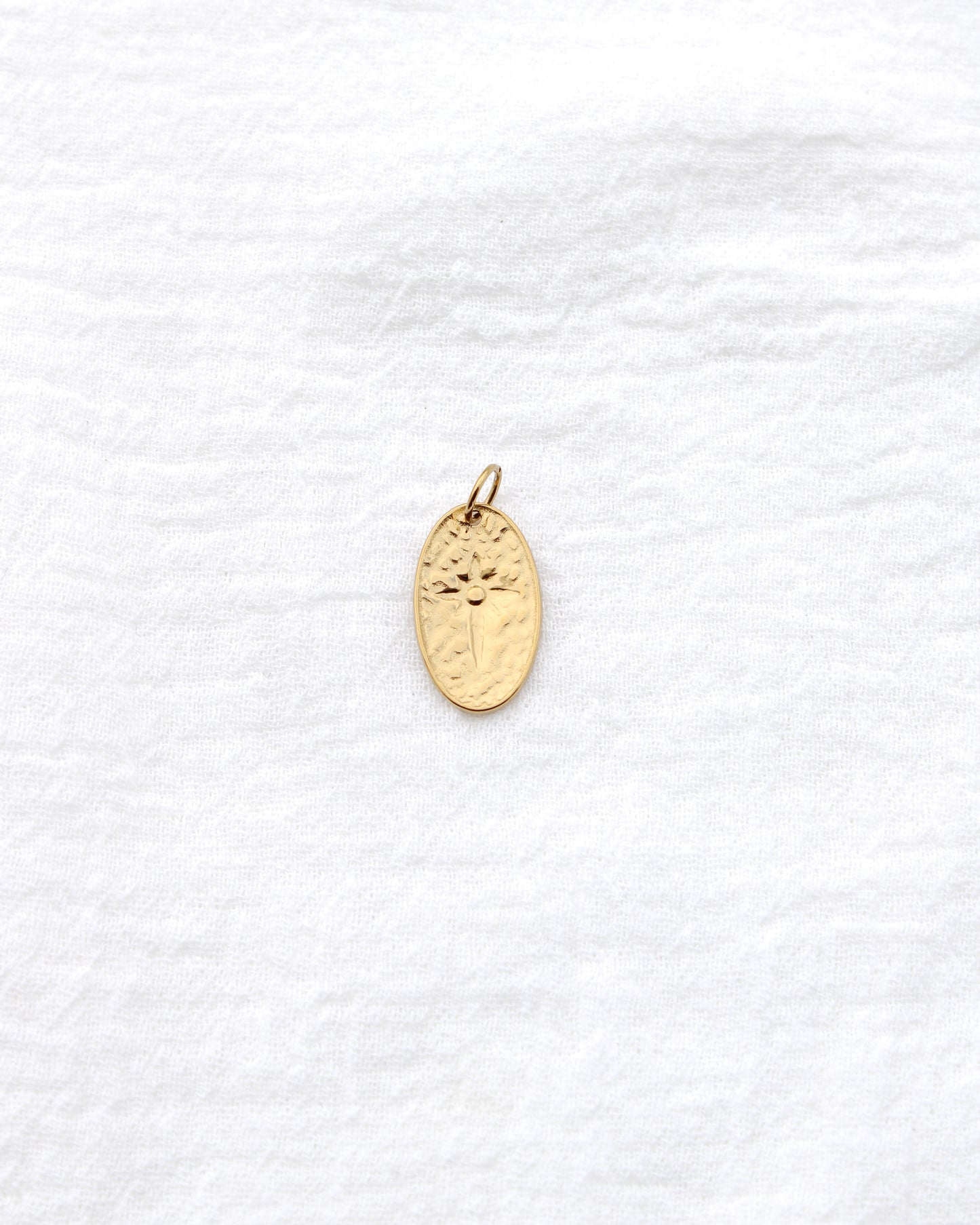 20mm Oval w/ Star CZ PVD Charm, CH397
