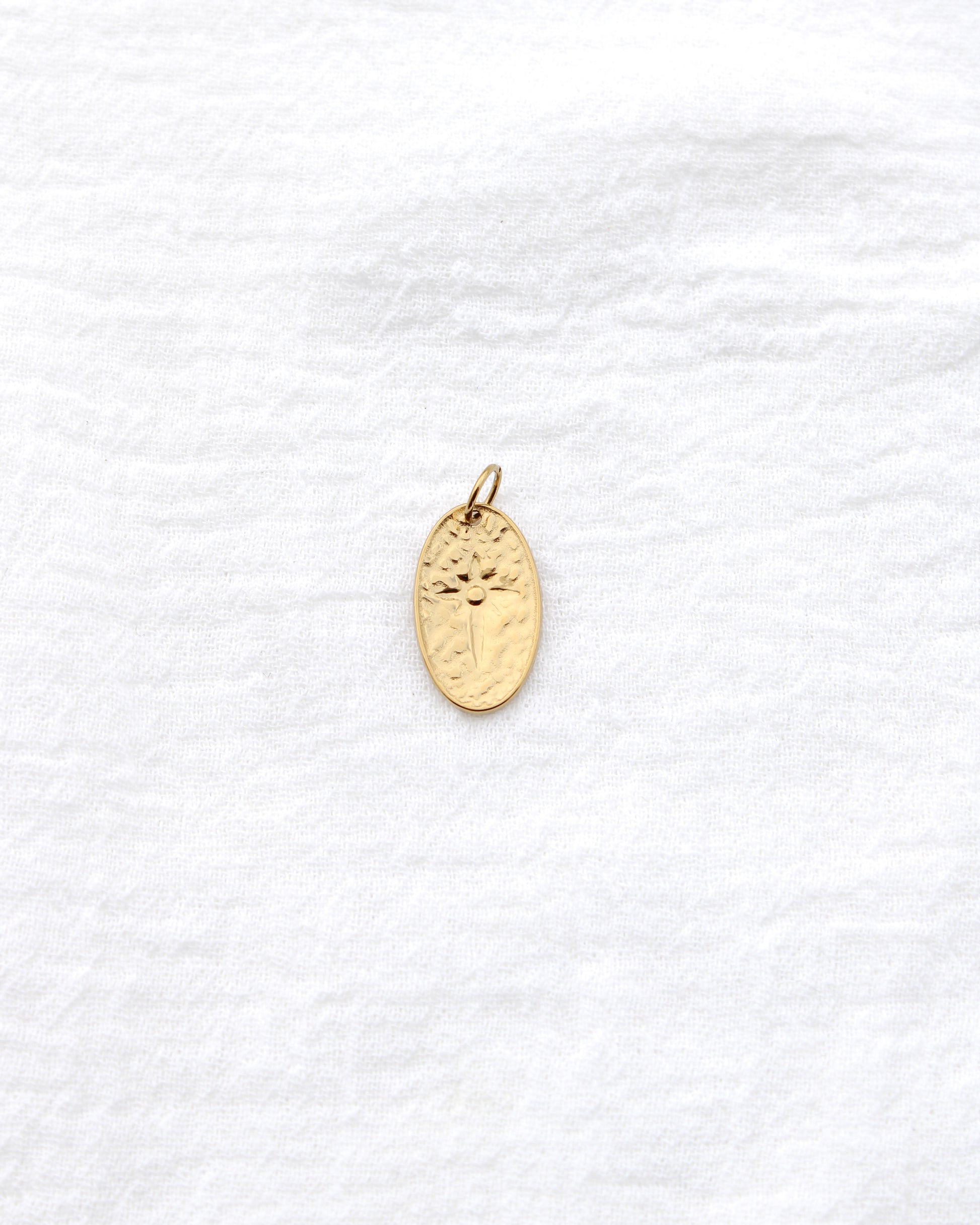 20mm Oval w/ Star CZ PVD Charm, CH397