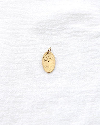 20mm Oval w/ Star CZ PVD Charm, CH397