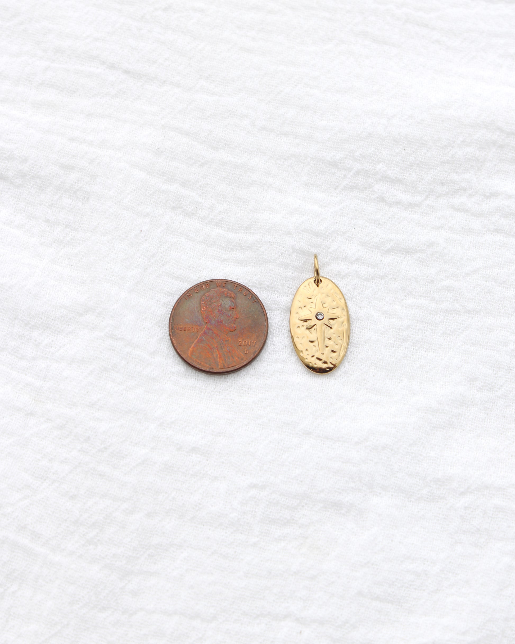 20mm Oval w/ Star CZ PVD Charm, CH397