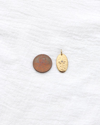 20mm Oval w/ Star CZ PVD Charm, CH397