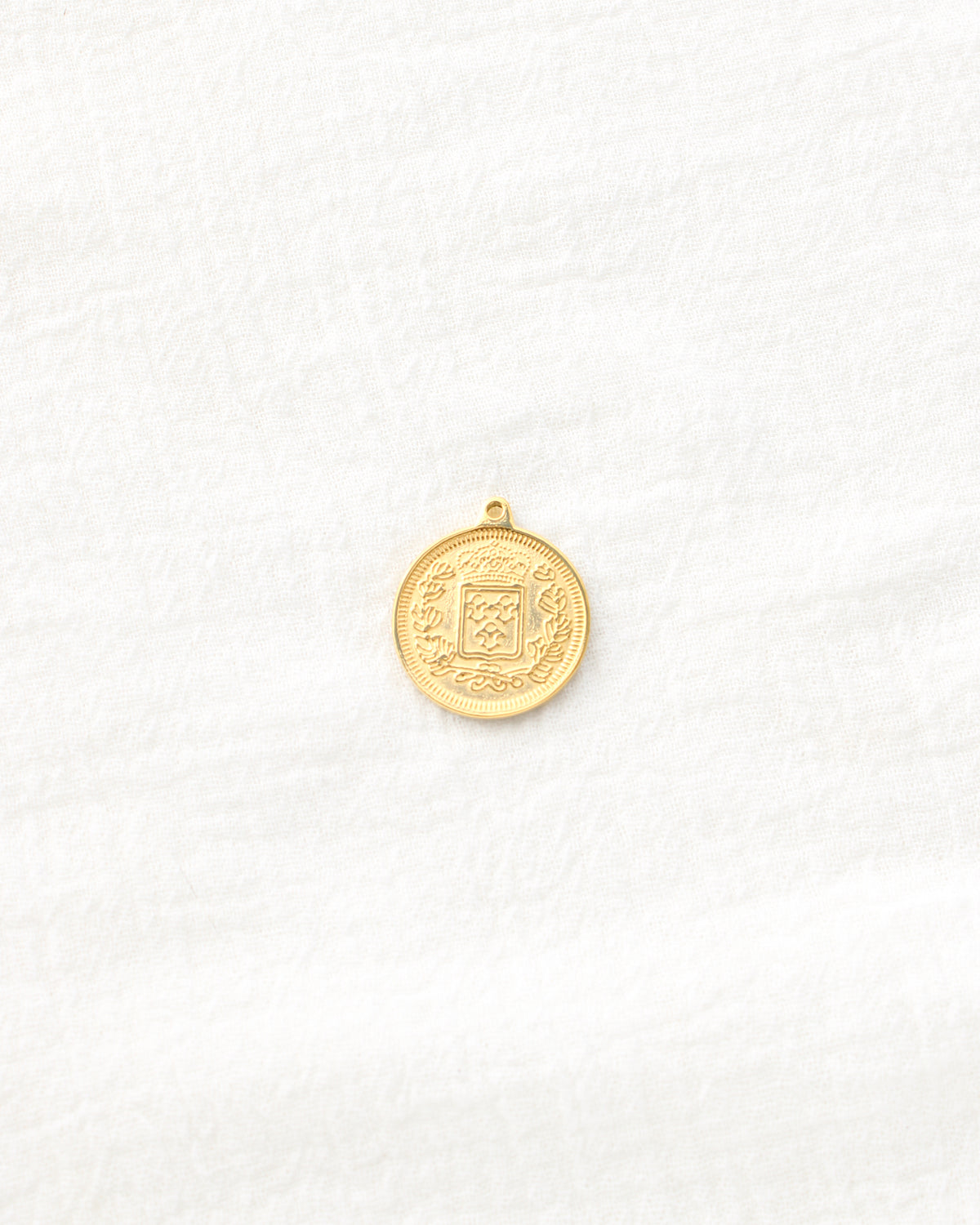 24mm Vintage Coin PVD Charm, CH497