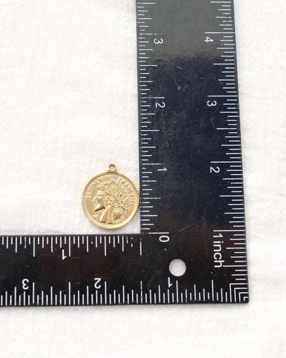24mm Vintage Coin PVD Charm, CH497