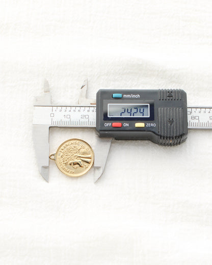 24mm Vintage Coin PVD Charm, CH497