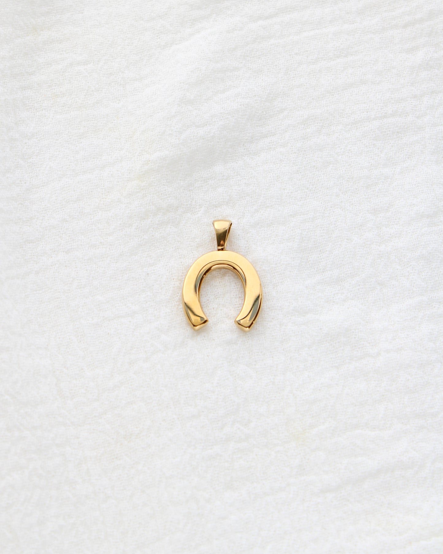25mm Horseshoe w/ Rhinestones PVD Charm, CH399