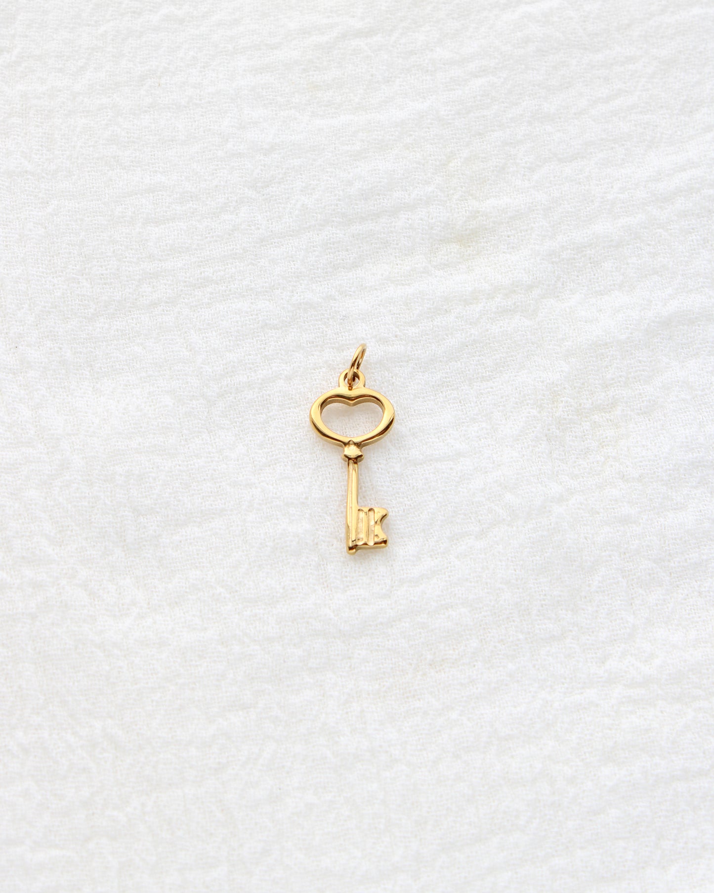20mm Key PVD Charm, CH411