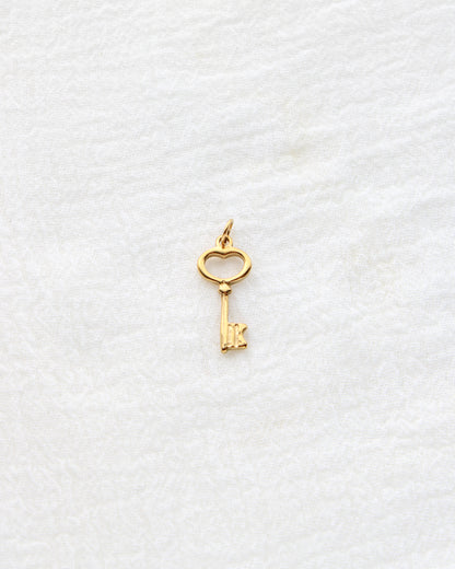 20mm Key PVD Charm, CH411