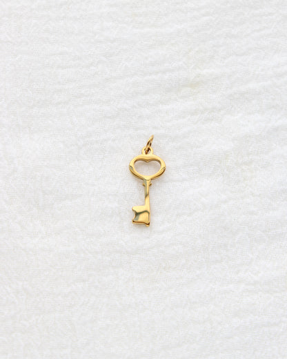 20mm Key PVD Charm, CH411