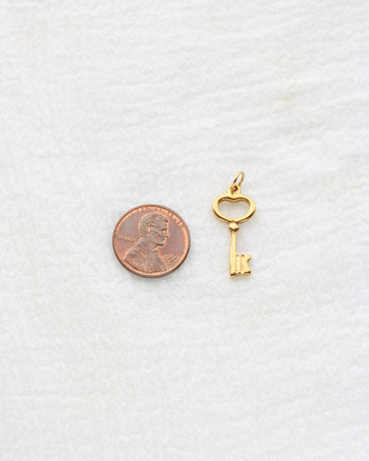 20mm Key PVD Charm, CH411
