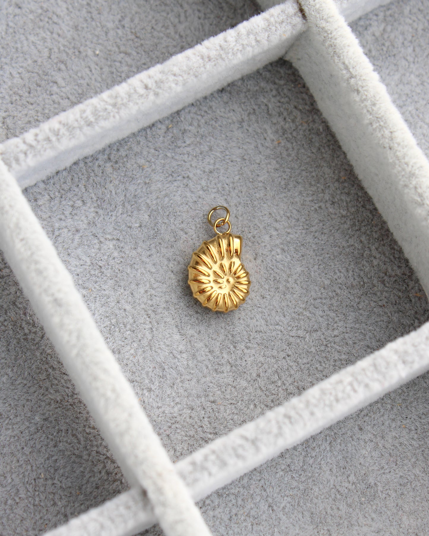 16mm Nautilus Shell PVD Charm, CH442