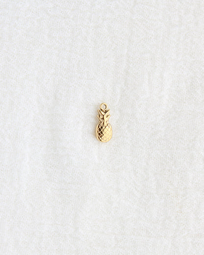 12mm Pineapple PVD Charm, CH441
