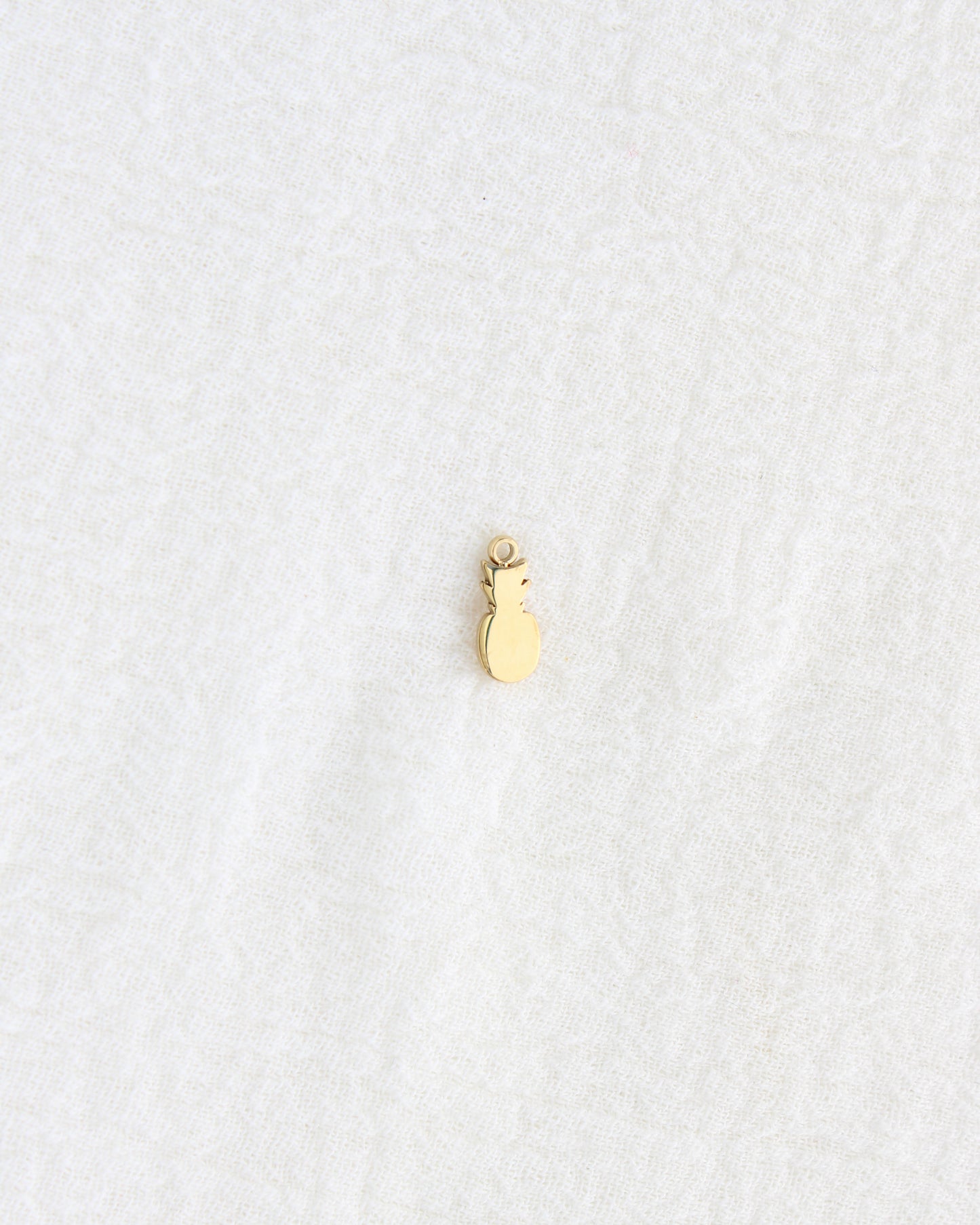 12mm Pineapple PVD Charm, CH441