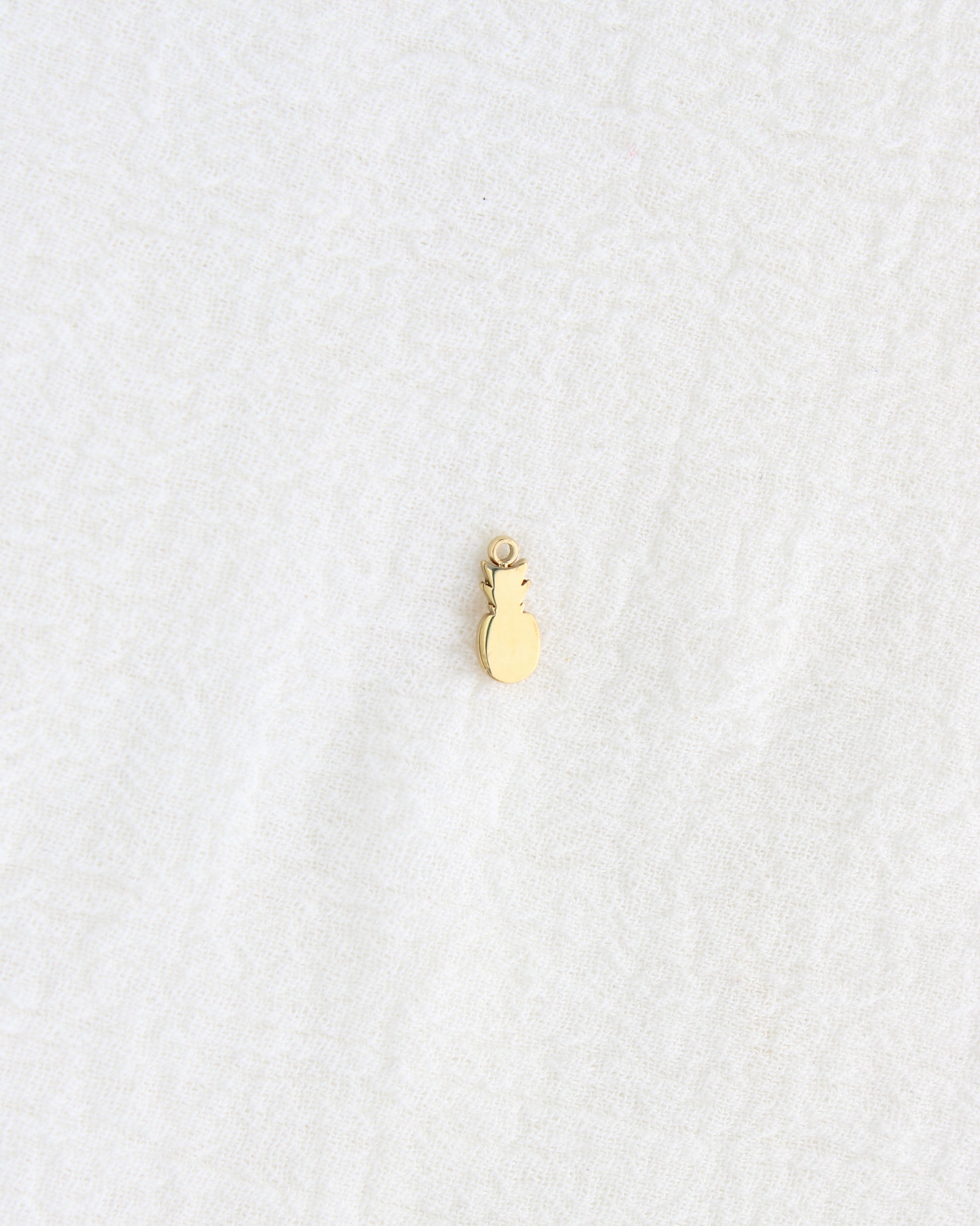 12mm Pineapple PVD Charm, CH441
