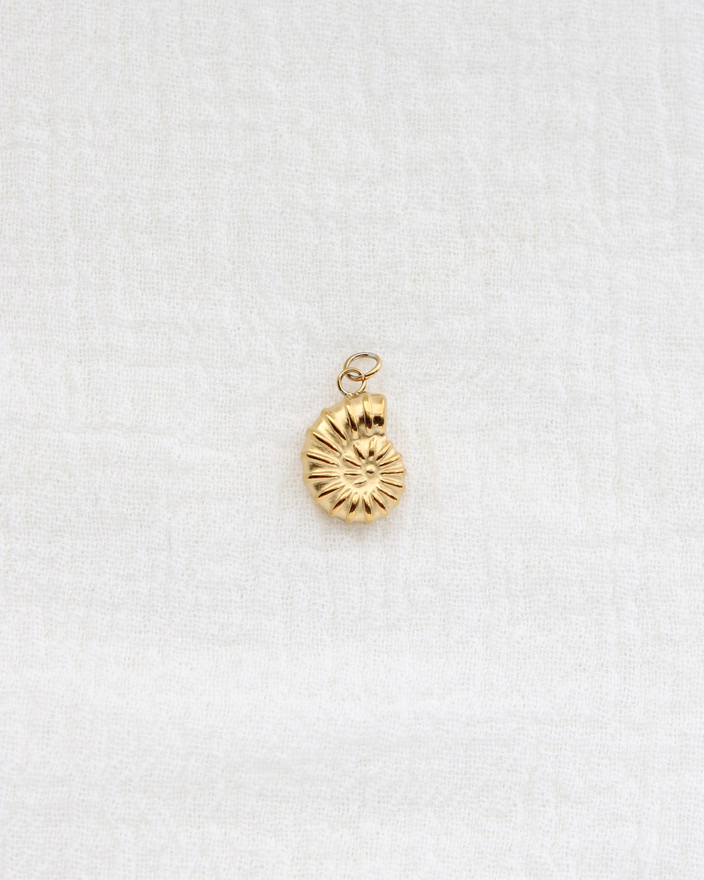 16mm Nautilus Shell PVD Charm, CH442