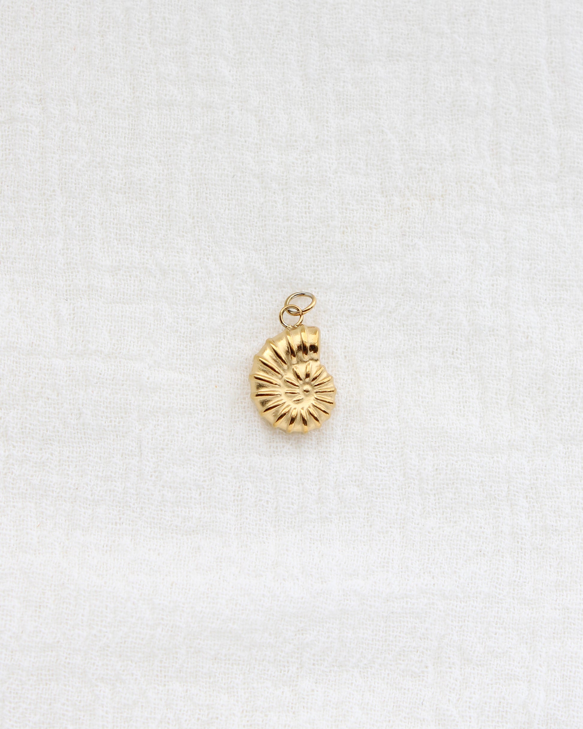 16mm Nautilus Shell PVD Charm, CH442