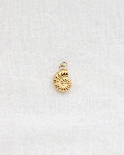 16mm Nautilus Shell PVD Charm, CH442