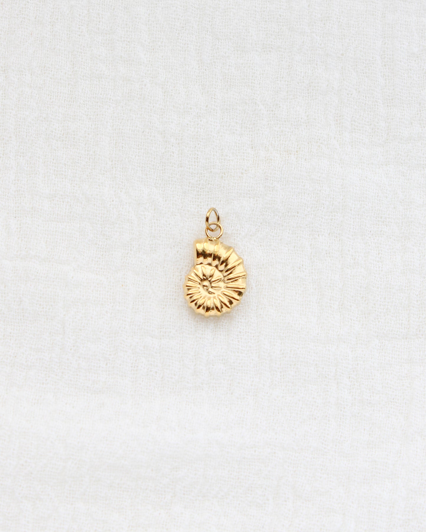16mm Nautilus Shell PVD Charm, CH442