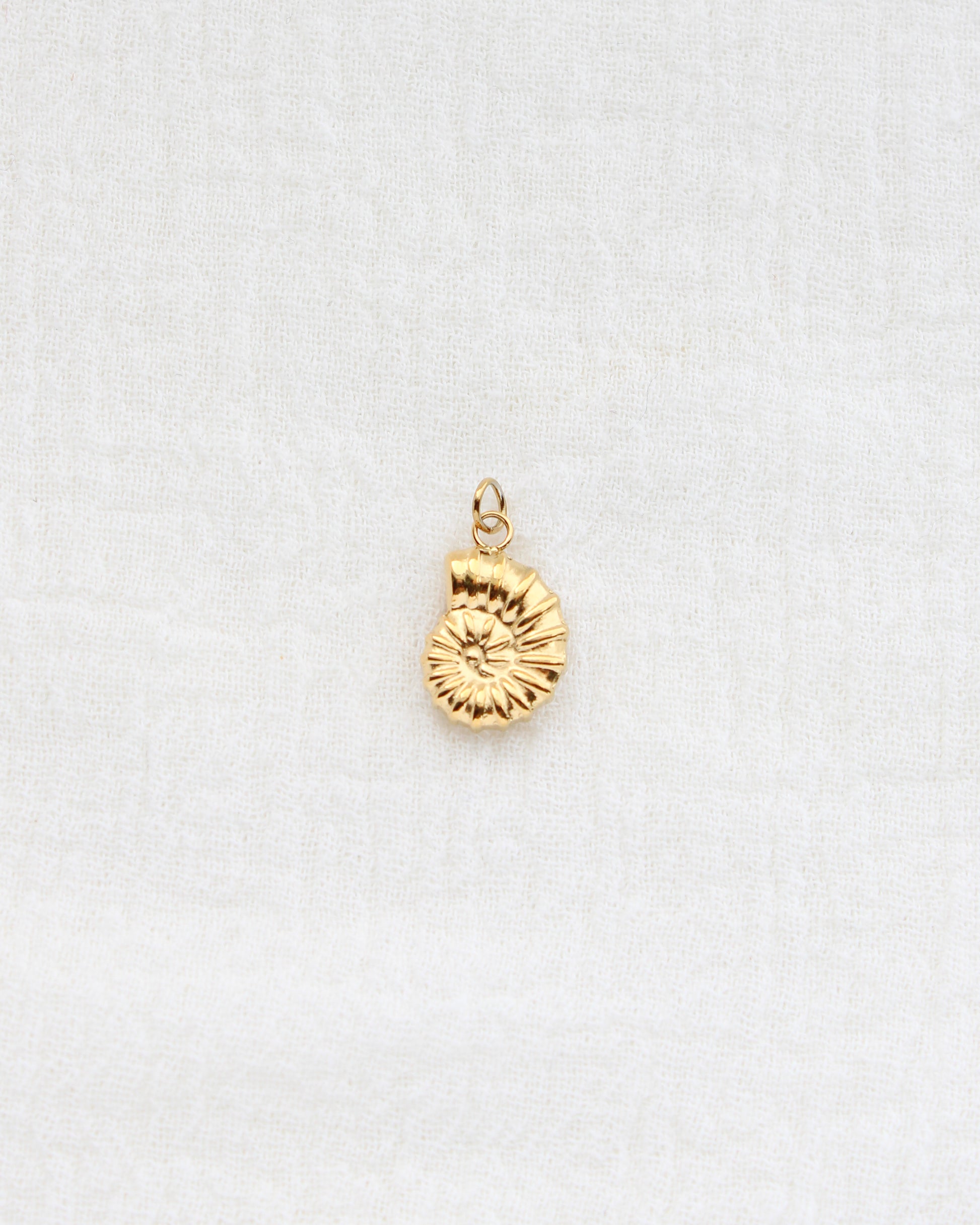 16mm Nautilus Shell PVD Charm, CH442
