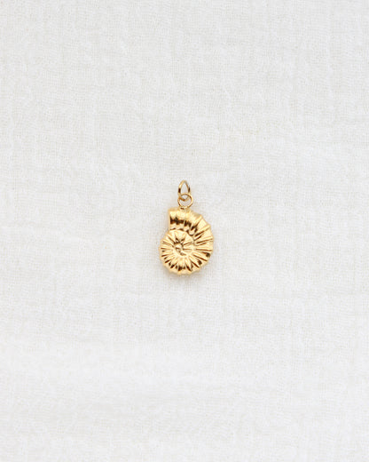 16mm Nautilus Shell PVD Charm, CH442