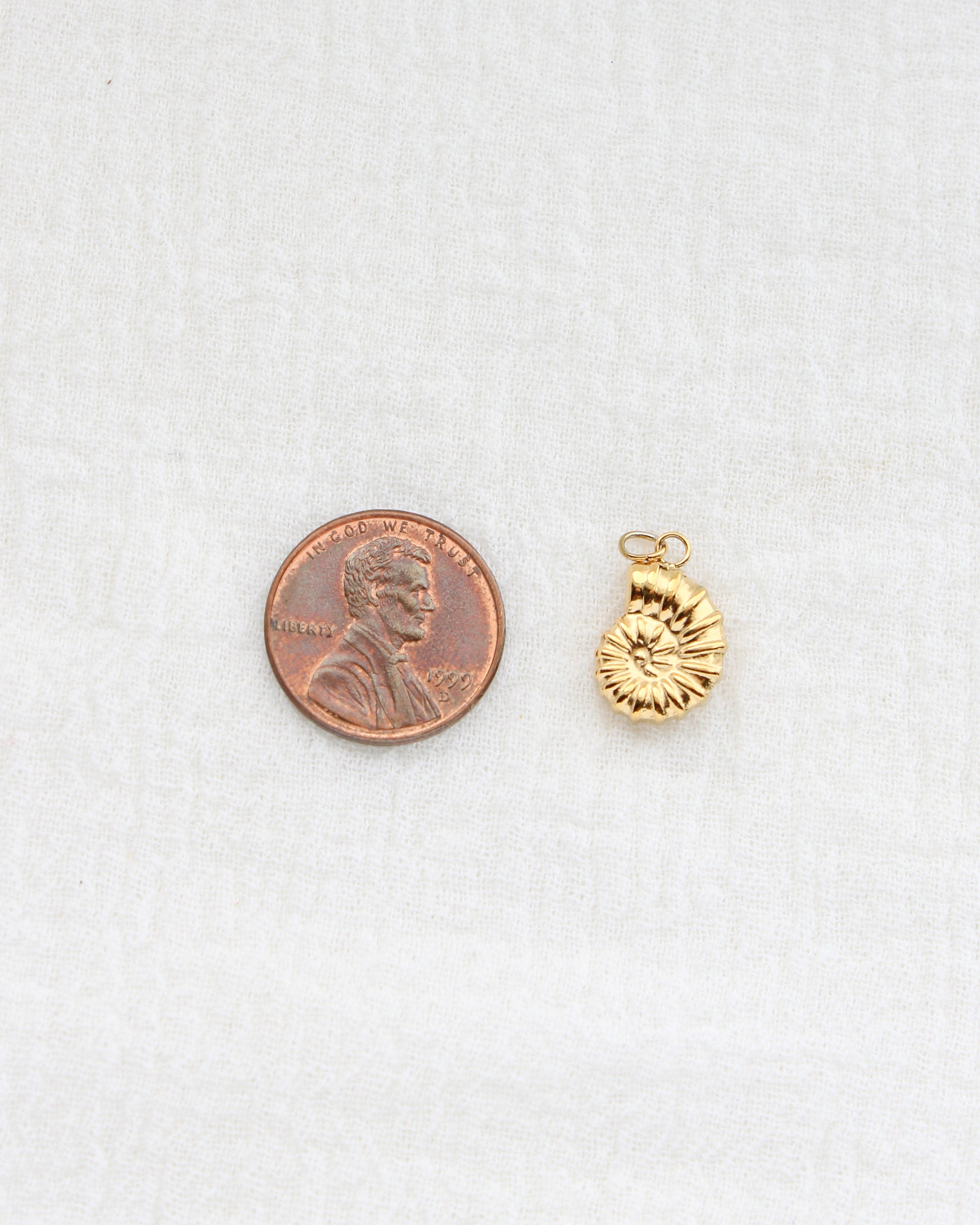 16mm Nautilus Shell PVD Charm, CH442