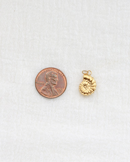 16mm Nautilus Shell PVD Charm, CH442
