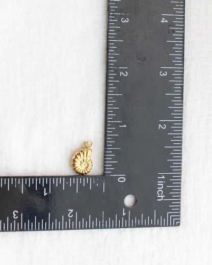 16mm Nautilus Shell PVD Charm, CH442