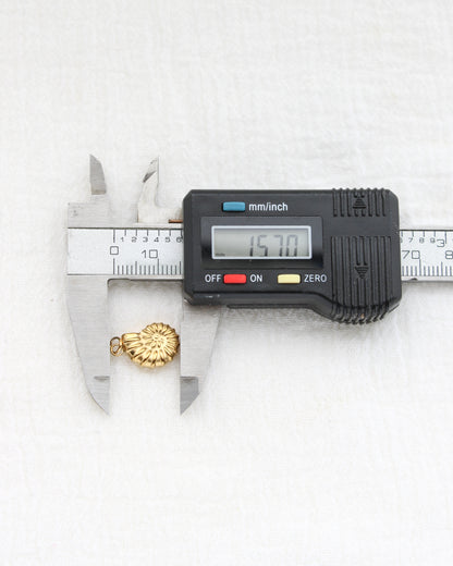 16mm Nautilus Shell PVD Charm, CH442