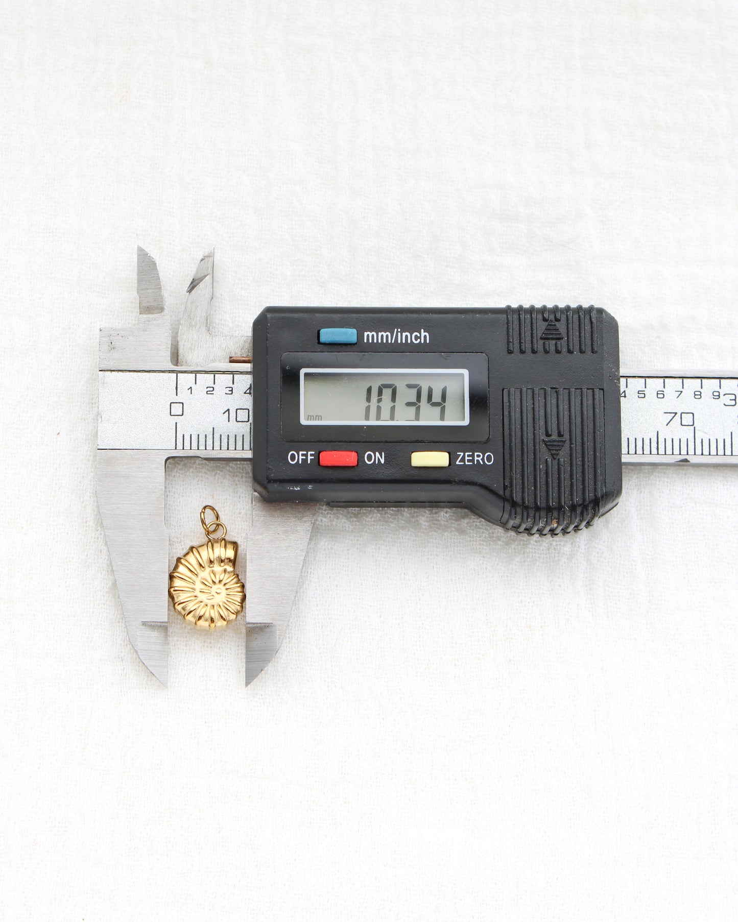 16mm Nautilus Shell PVD Charm, CH442