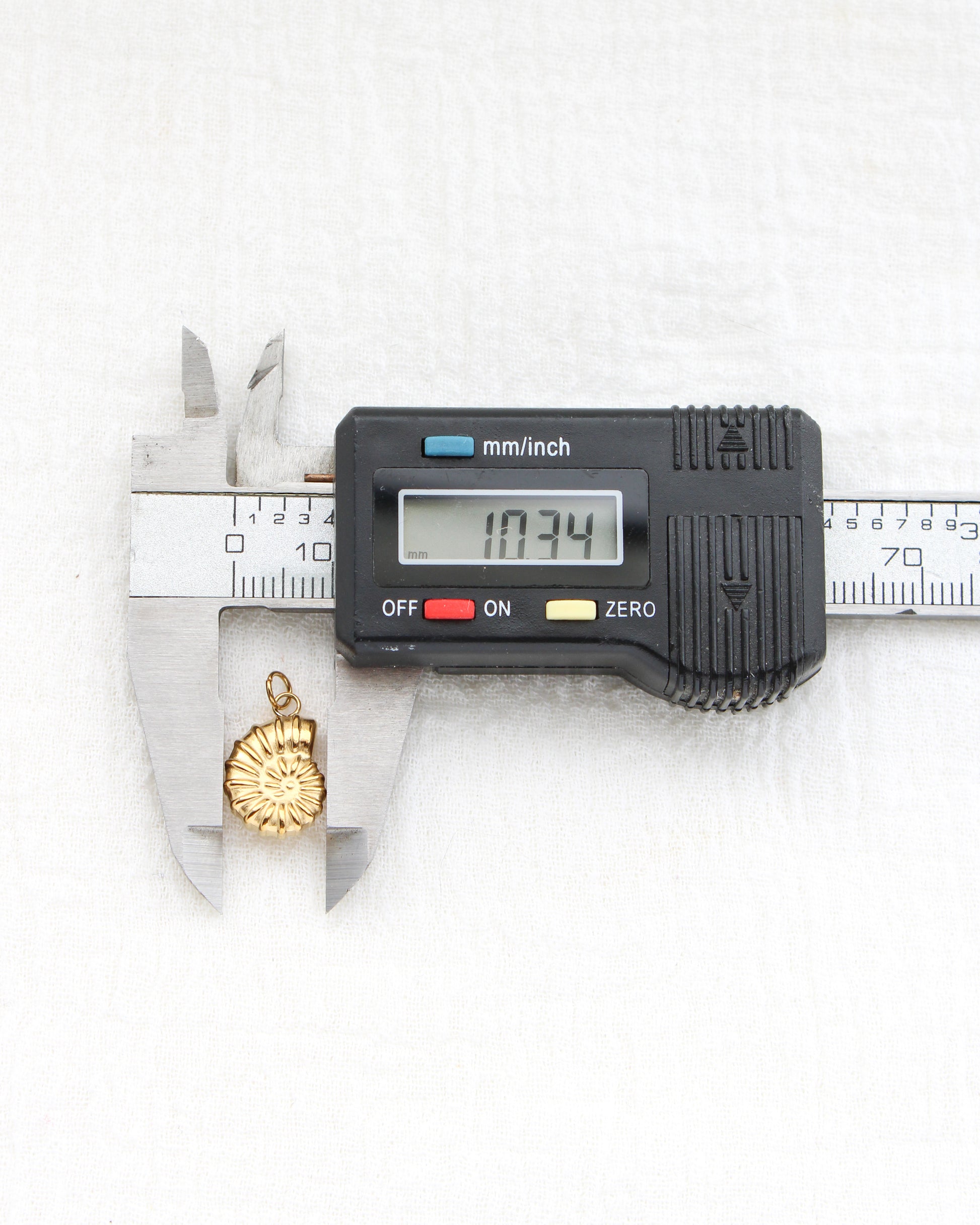 16mm Nautilus Shell PVD Charm, CH442