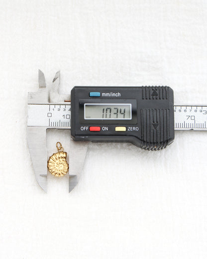 16mm Nautilus Shell PVD Charm, CH442