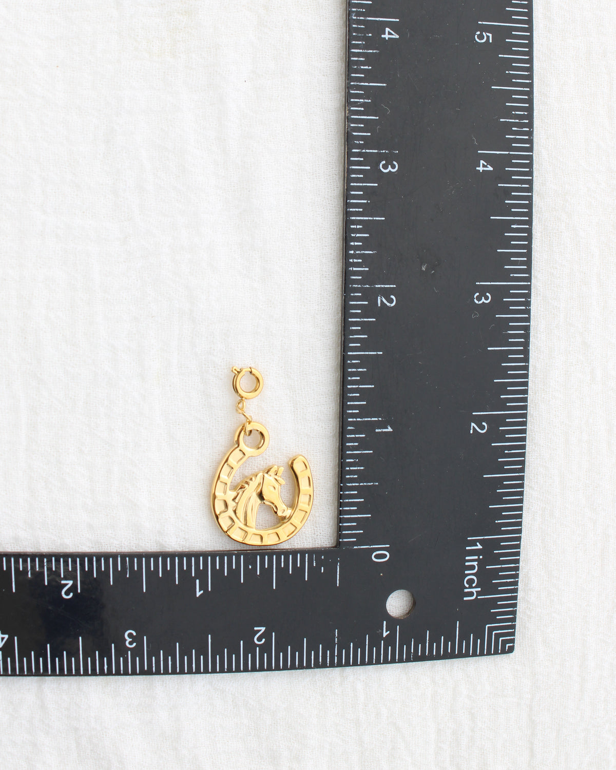 25mm Horseshoe PVD Charm, CH456