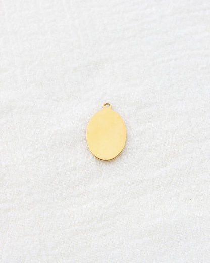23mm Mushroom Oval PVD Charm, CH454