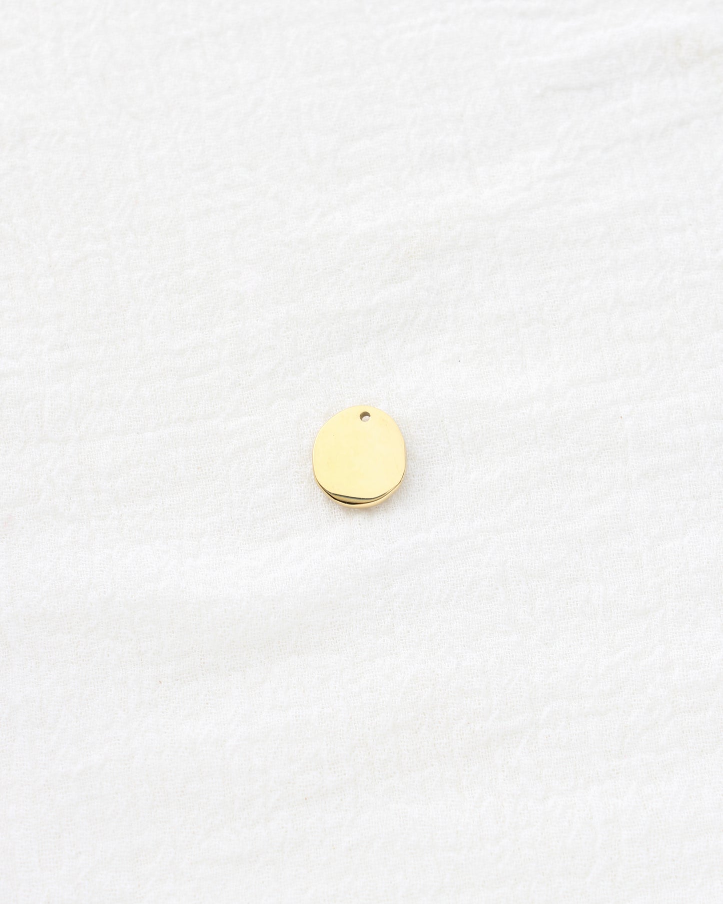 15mm Hammered Disc w/ CZ PVD Charm, CH449