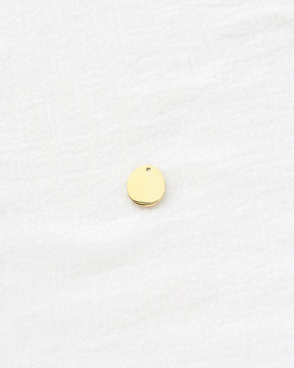 15mm Hammered Disc w/ CZ PVD Charm, CH449