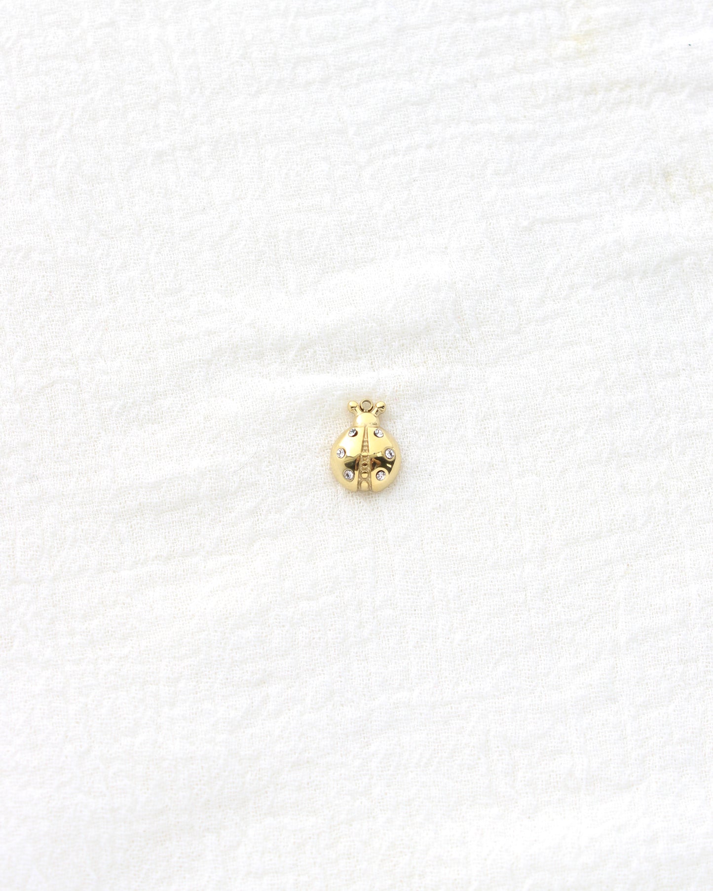 14mm Ladybug w/CZ PVD Charm, CH451