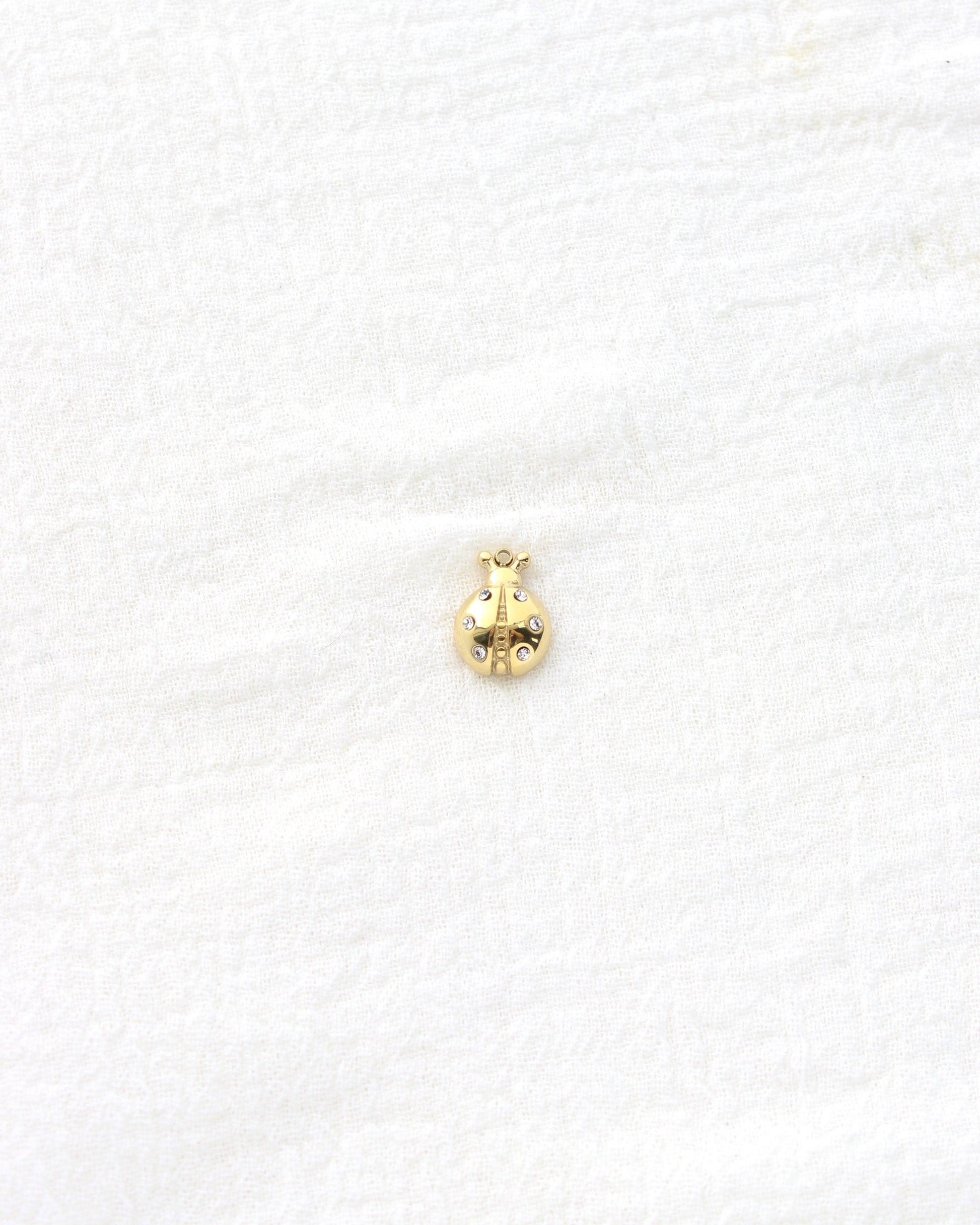 14mm Ladybug w/CZ PVD Charm, CH451