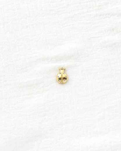 14mm Ladybug w/CZ PVD Charm, CH451