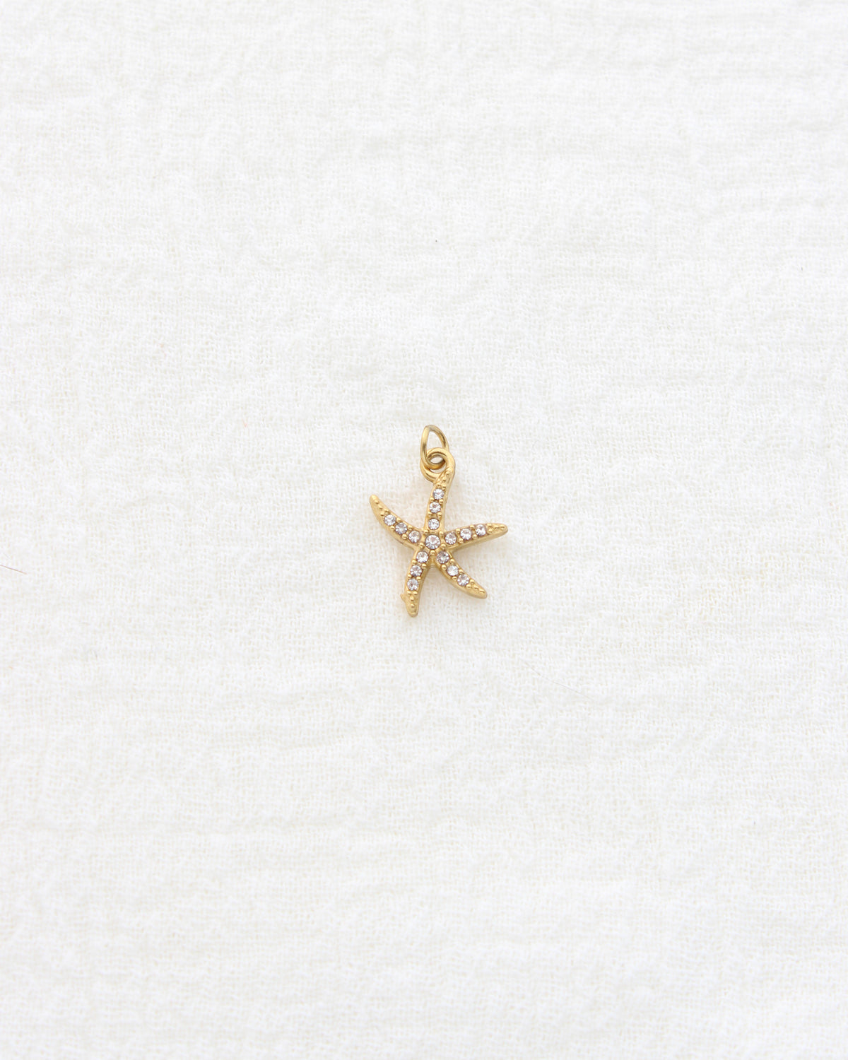 15mm Starfish CZ PVD Charm, CH455