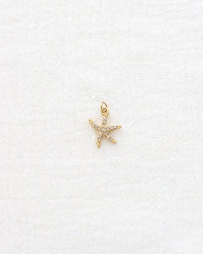 15mm Starfish CZ PVD Charm, CH455